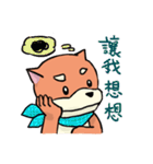 shiba inu wearing a scarf（個別スタンプ：30）