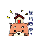 shiba inu wearing a scarf（個別スタンプ：31）