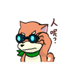 shiba inu wearing a scarf（個別スタンプ：32）