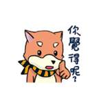 shiba inu wearing a scarf（個別スタンプ：34）