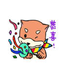 shiba inu wearing a scarf（個別スタンプ：35）