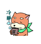 shiba inu wearing a scarf（個別スタンプ：37）