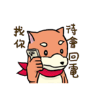 shiba inu wearing a scarf（個別スタンプ：38）