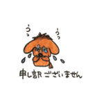 ちゅきちゅきわんこクッキー（個別スタンプ：10）