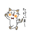 白ねこプー太（個別スタンプ：36）