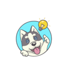 Playful Husky Animated（個別スタンプ：1）