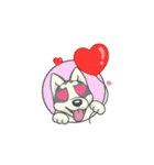 Playful Husky Animated（個別スタンプ：3）