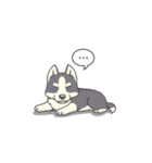 Playful Husky Animated（個別スタンプ：6）
