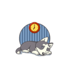 Playful Husky Animated（個別スタンプ：9）