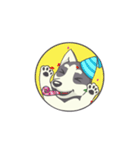 Playful Husky Animated（個別スタンプ：10）