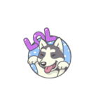 Playful Husky Animated（個別スタンプ：12）