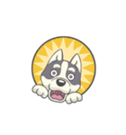 Playful Husky Animated（個別スタンプ：13）
