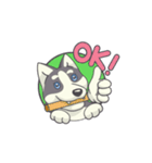 Playful Husky Animated（個別スタンプ：14）