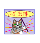 Cat Life Story 4（個別スタンプ：4）