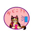 Cat Life Story 4（個別スタンプ：31）