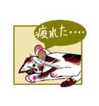 Cat Life Story 4（個別スタンプ：39）