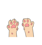 cat paws are coming（個別スタンプ：5）