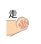 cat paws are coming（個別スタンプ：12）