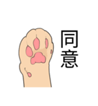 cat paws are coming（個別スタンプ：23）