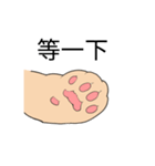 cat paws are coming（個別スタンプ：36）