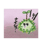 のんきな苔玉くん（個別スタンプ：37）