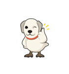 This is it！, Dogbird（個別スタンプ：1）