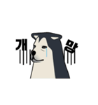 This is it！, Dogbird（個別スタンプ：2）