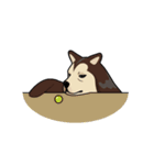 This is it！, Dogbird（個別スタンプ：8）