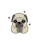 This is it！, Dogbird（個別スタンプ：9）