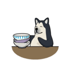 This is it！, Dogbird（個別スタンプ：16）