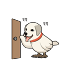 This is it！, Dogbird（個別スタンプ：19）