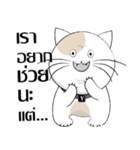 Yoyo is a good cat.（個別スタンプ：1）