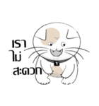 Yoyo is a good cat.（個別スタンプ：2）