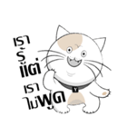 Yoyo is a good cat.（個別スタンプ：6）