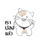 Yoyo is a good cat.（個別スタンプ：11）