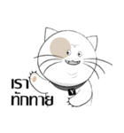 Yoyo is a good cat.（個別スタンプ：12）