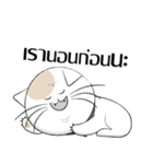 Yoyo is a good cat.（個別スタンプ：13）