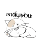 Yoyo is a good cat.（個別スタンプ：14）
