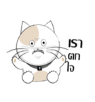 Yoyo is a good cat.（個別スタンプ：16）