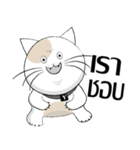 Yoyo is a good cat.（個別スタンプ：18）
