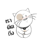 Yoyo is a good cat.（個別スタンプ：19）