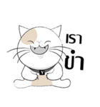 Yoyo is a good cat.（個別スタンプ：20）