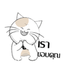 Yoyo is a good cat.（個別スタンプ：21）
