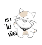 Yoyo is a good cat.（個別スタンプ：23）
