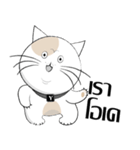 Yoyo is a good cat.（個別スタンプ：26）