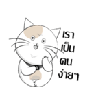 Yoyo is a good cat.（個別スタンプ：28）