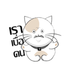Yoyo is a good cat.（個別スタンプ：29）