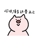 pigQQ（個別スタンプ：40）