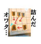 【実写】将棋のコマ（個別スタンプ：6）