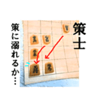 【実写】将棋のコマ（個別スタンプ：22）
